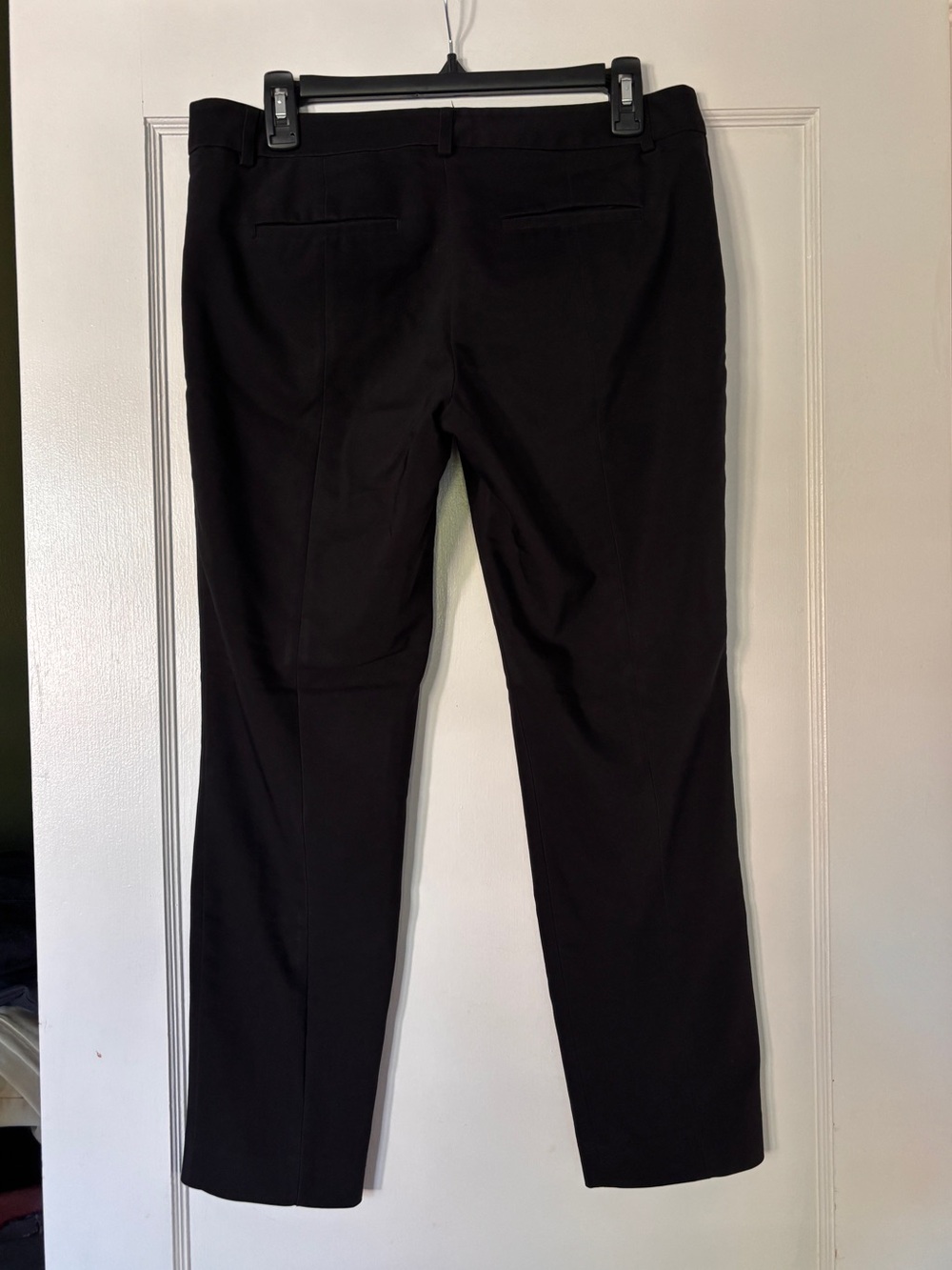 Express Columnist Dress Pants